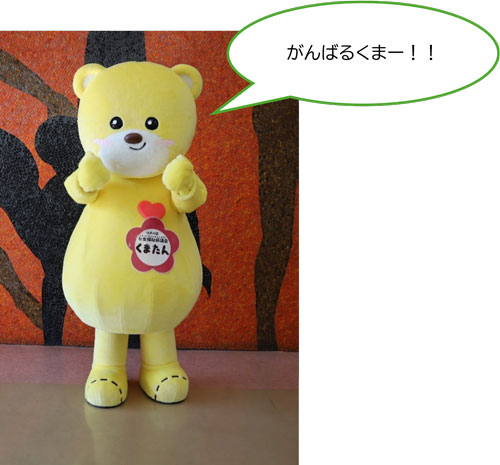 2026年10月11日 江戸川区民まつりに向け張り切るくまたん